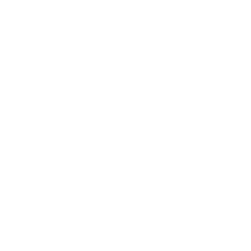 Mini Logo